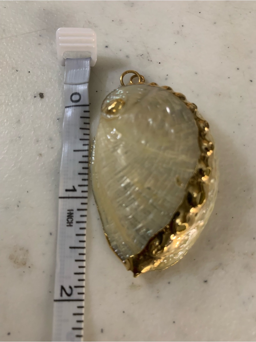 Gold-Tone Shell Pendant Necklace - Pendant Cream Shell Accent - Picture 4 of 4